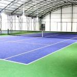 tenis